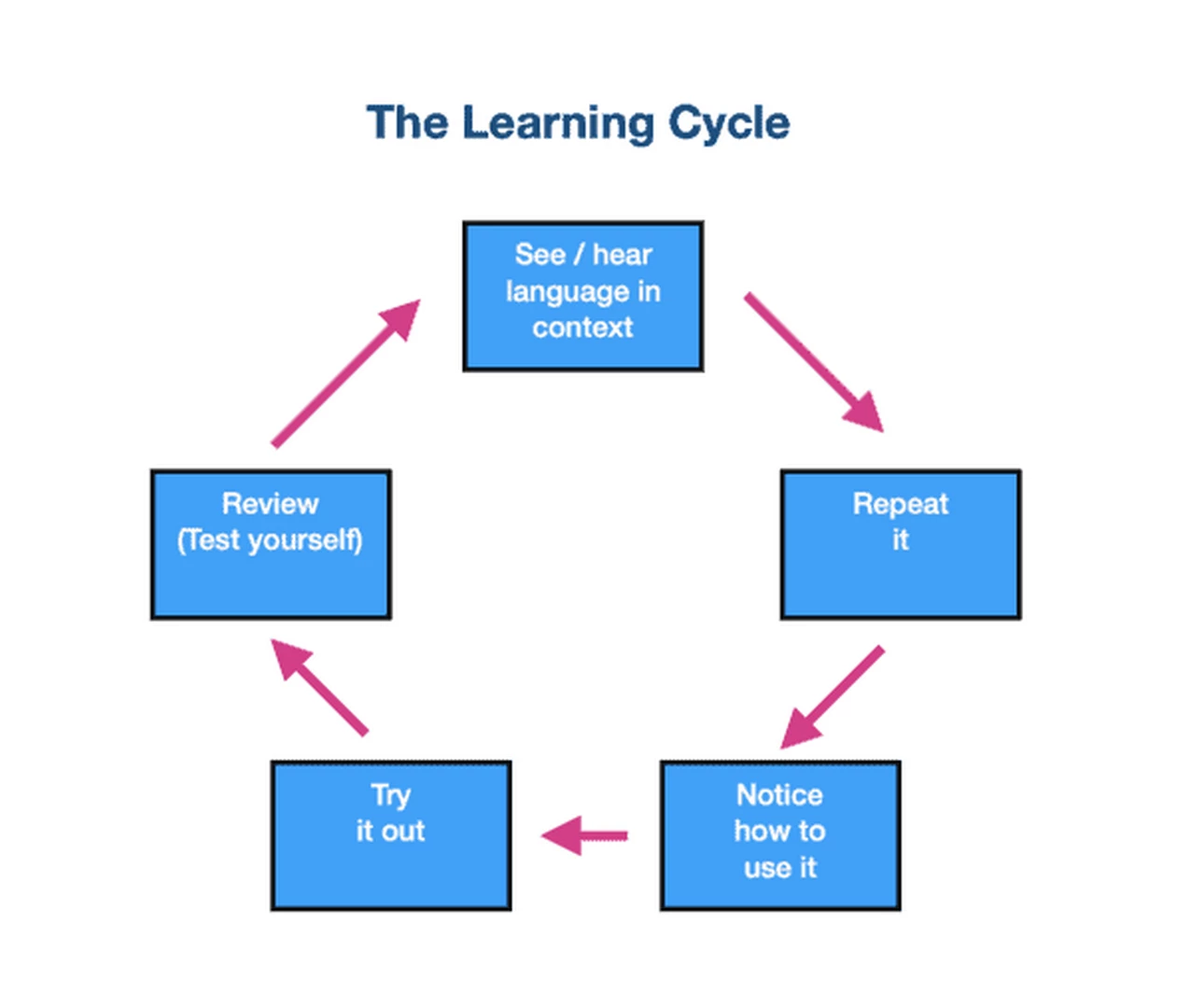 Mind map چه تاثیری در یادگیری زبان و موفقیت در آیلتس دارد؟